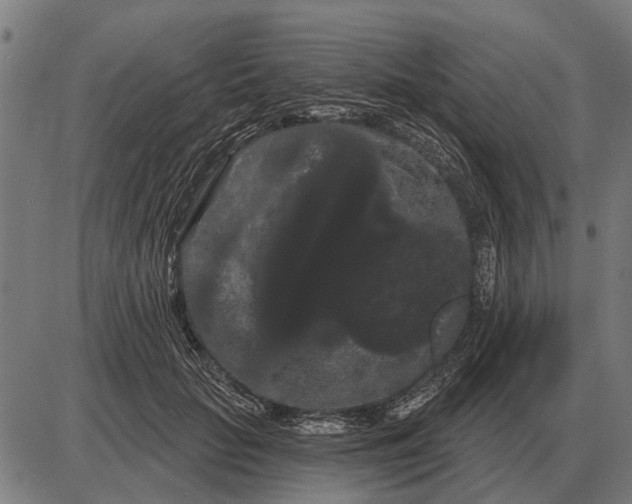 X0000085040653200703261313