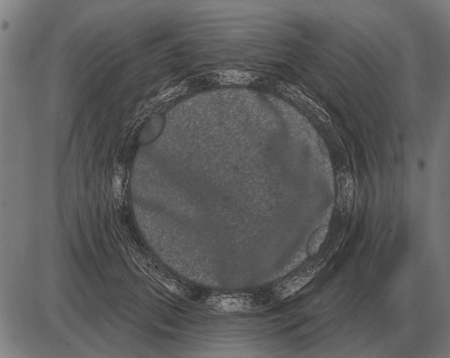 X0000085040655200703261313