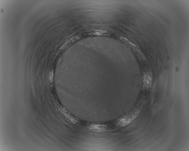 X0000085040657200703261313