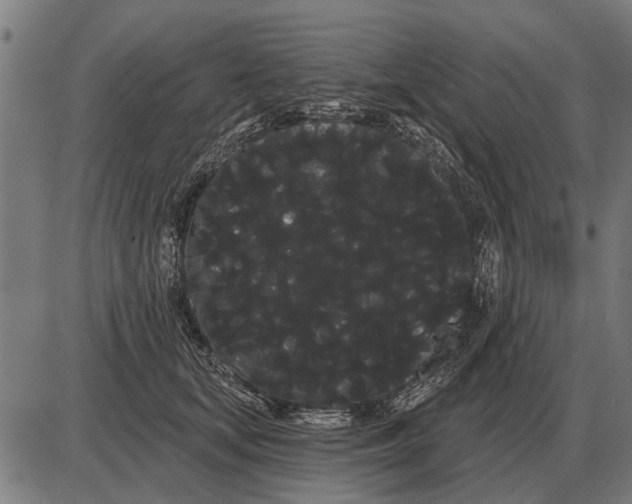 X0000085040659200703261313