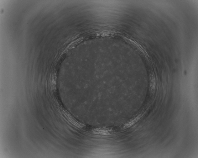 X0000085040661200703261313