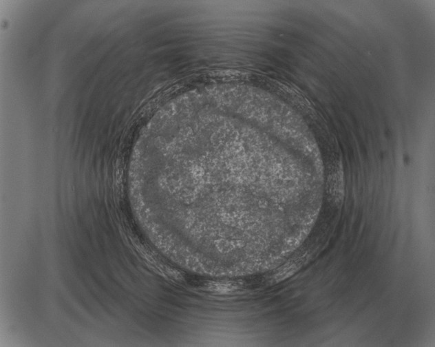 X0000085040662200703261313