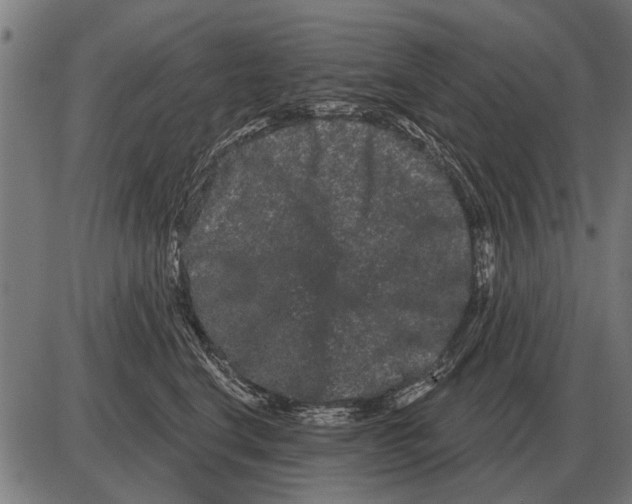 X0000085040664200703261313