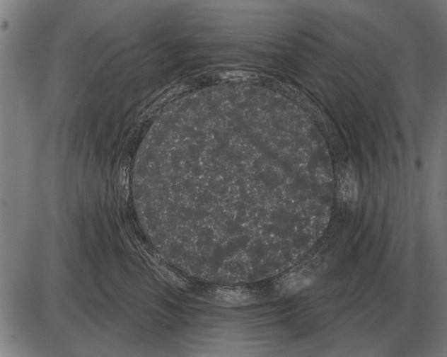X0000085040666200703261313