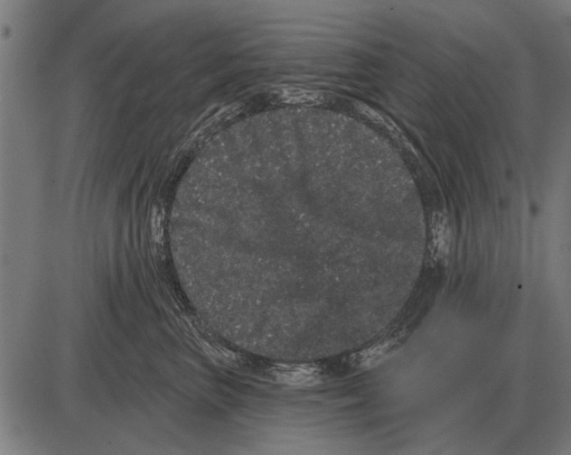 X0000085040667200703261313