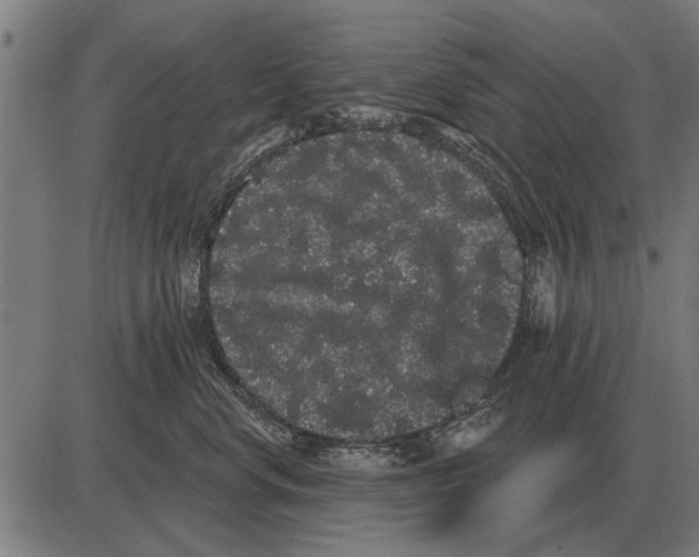 X0000085040668200703261313