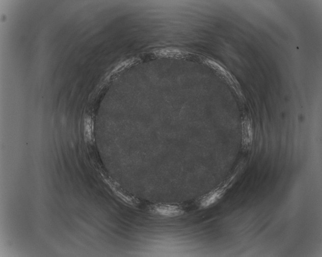 X0000085040669200703261313