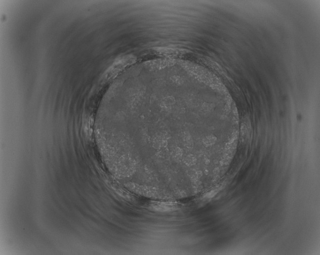 X0000085040671200703261313