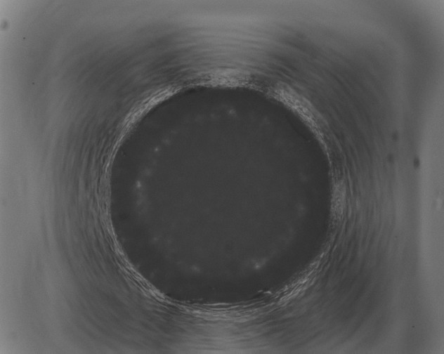 X0000085040673200703261313