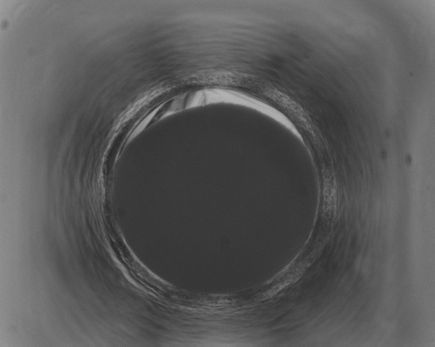 X0000085040674200703261313