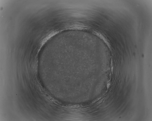 X0000085040675200703261312