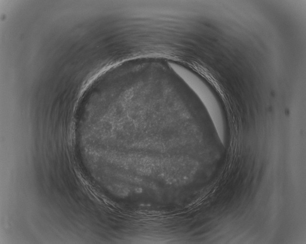 X0000085040676200703261312