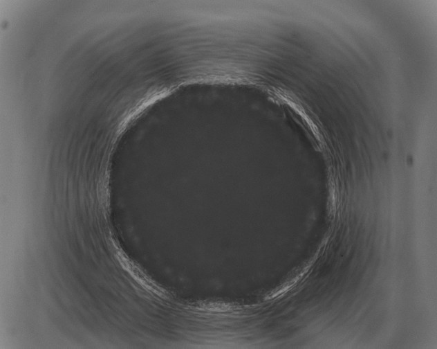 X0000085040677200703261312