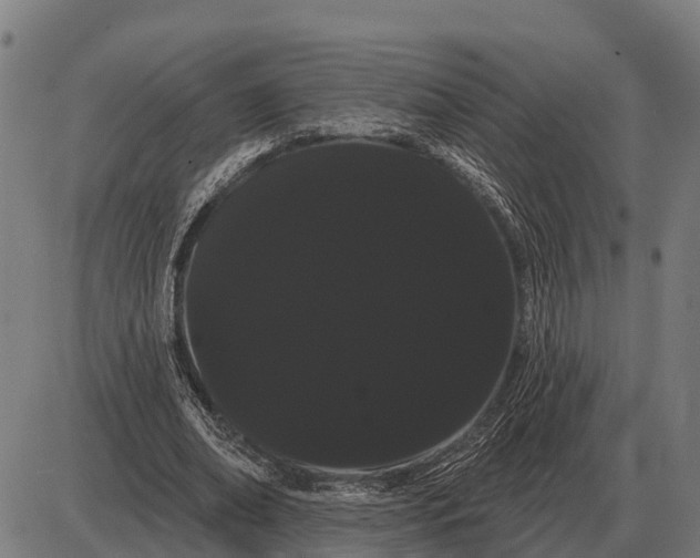 X0000085040678200703261312