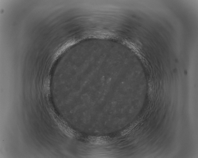 X0000085040679200703261312