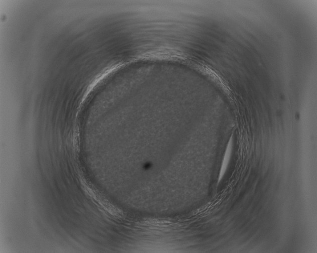 X0000085040680200703261312