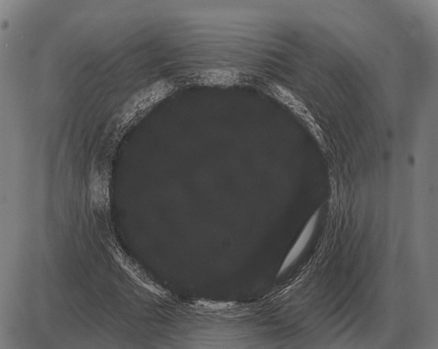 X0000085040681200703261312