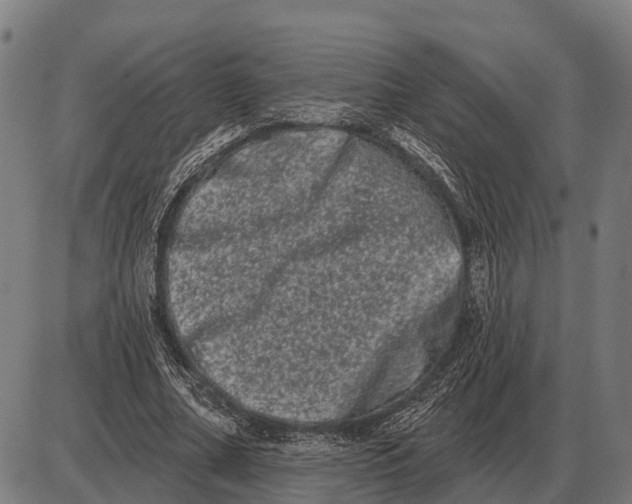 X0000085040682200703261312