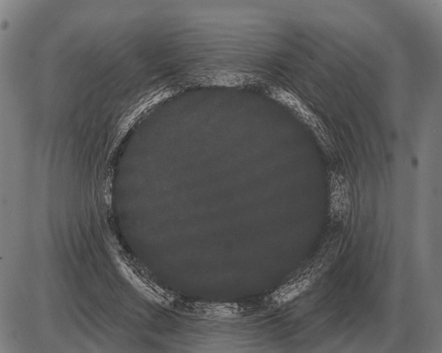 X0000085040683200703261312