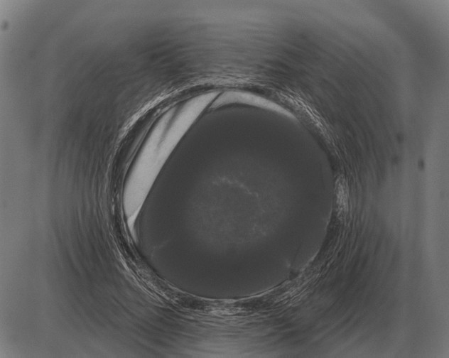 X0000085040684200703261312