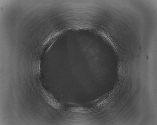 X0000085040685200703261312