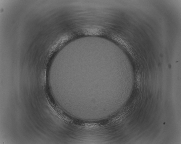 X0000085040686200703261312