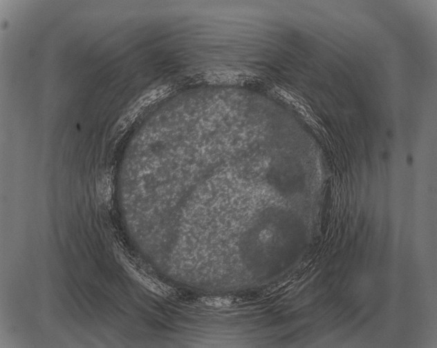 X0000085040687200703261312