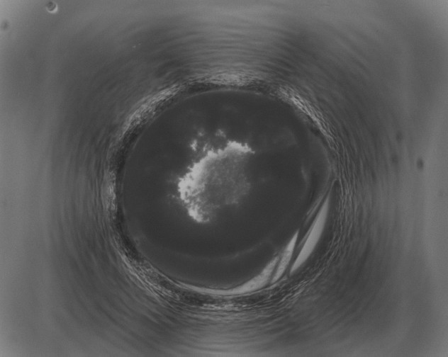 X0000085040688200703261312