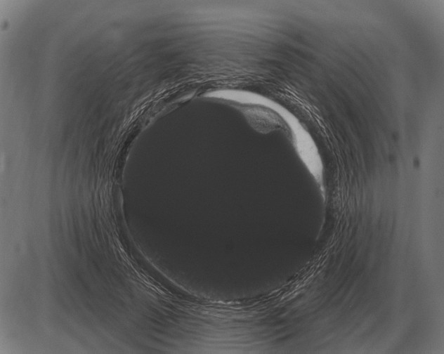 X0000085040689200703261312