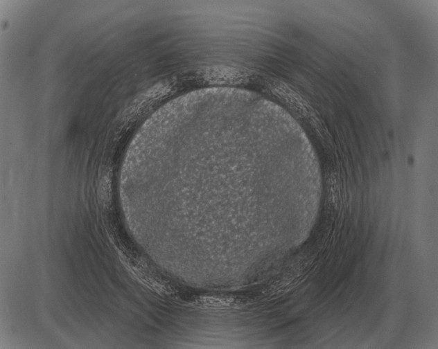 X0000085040690200703261312