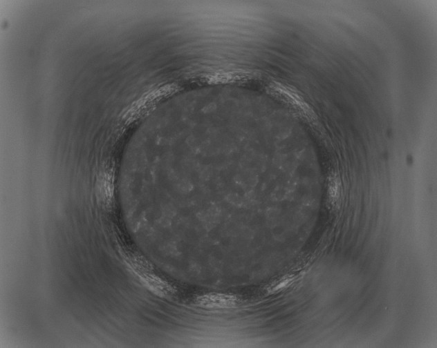 X0000085040691200703261312