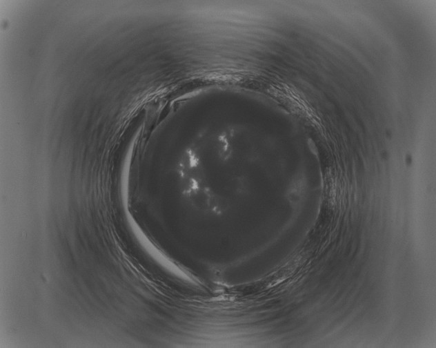 X0000085040692200703261312