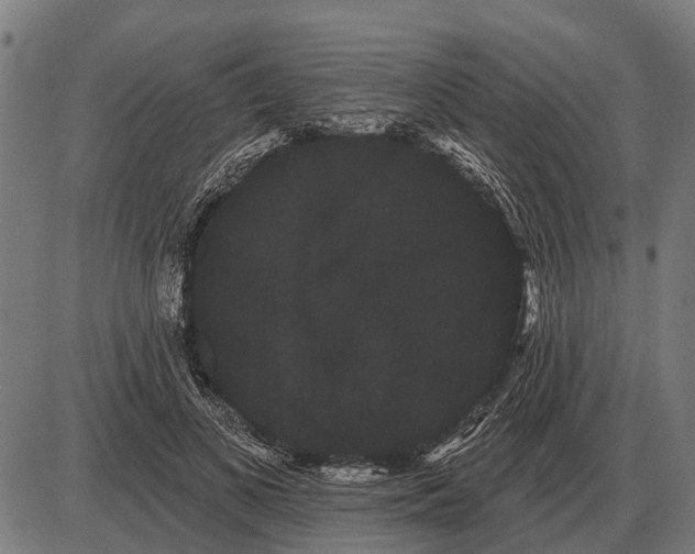 X0000085040693200703261312