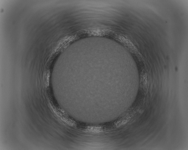 X0000085040694200703261312