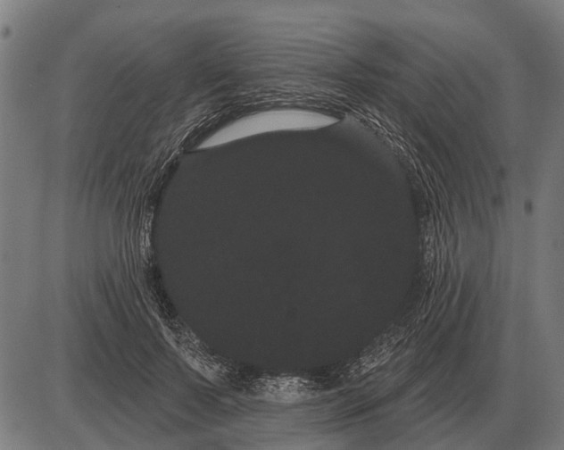 X0000085040695200703261312