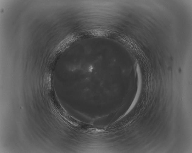 X0000085040696200703261312