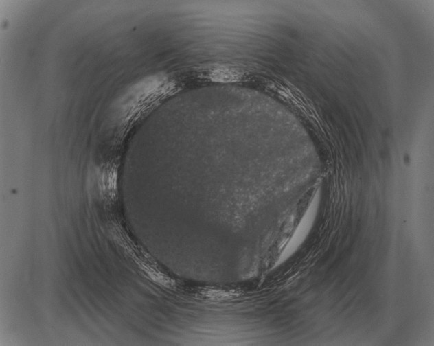 X0000085040697200703261312