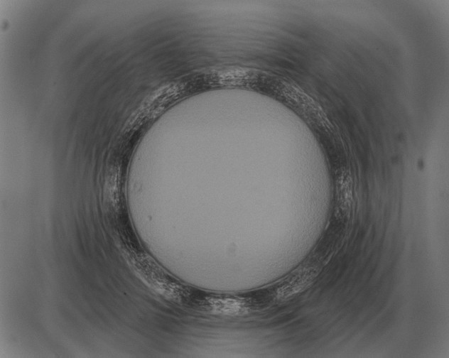 X0000085040698200703261312