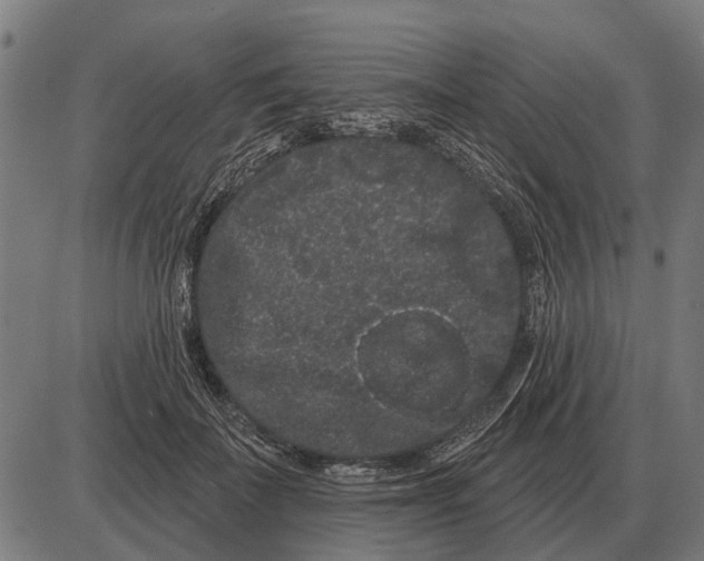 X0000085040699200703261312