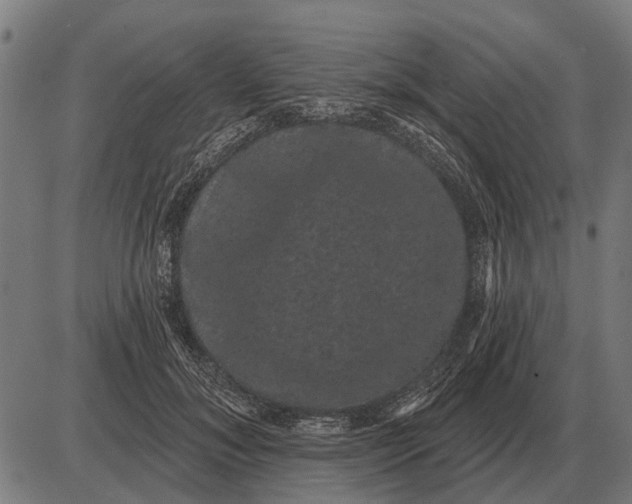 X0000085040700200703261312