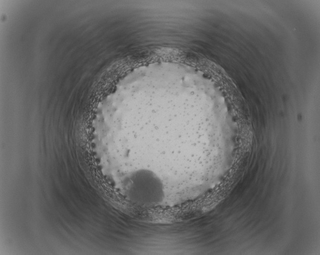 X0000085040701200703261312