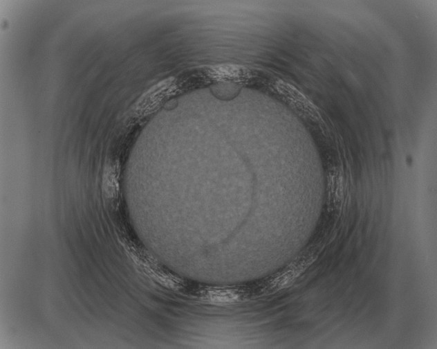 X0000085040702200703261312