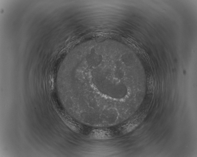 X0000085040703200703261312