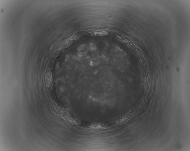 X0000085040704200703261312