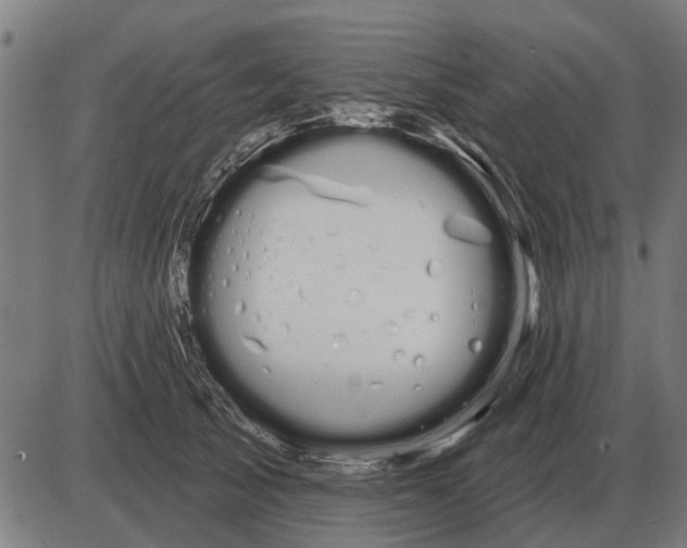 X0000085040705200703261312