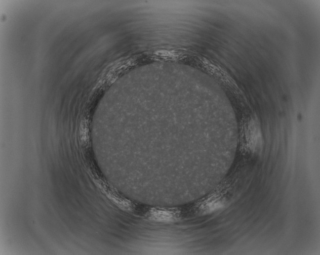 X0000085040706200703261312