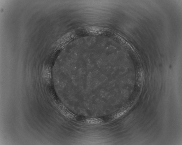 X0000085040707200703261312