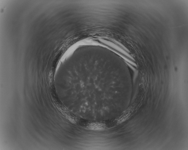 X0000085040708200703261312