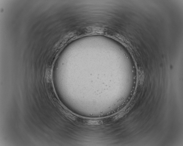 X0000085040709200703261312