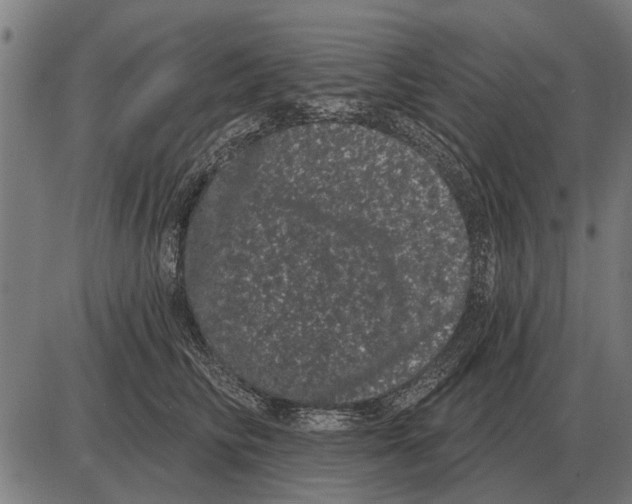 X0000085040710200703261312